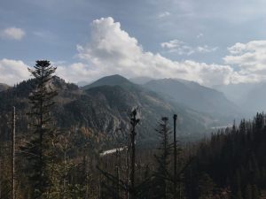 Fotoaktywni 43
